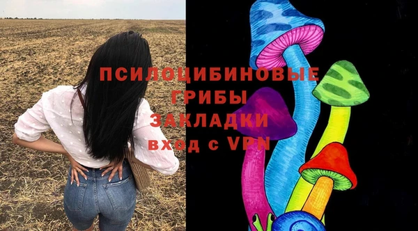 индика Алзамай
