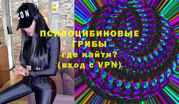 ПСИЛОЦИБИНОВЫЕ ГРИБЫ Алексин