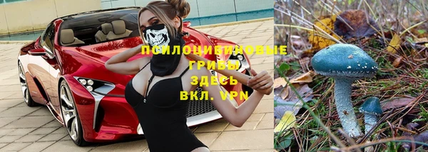 Альфа ПВП Армянск