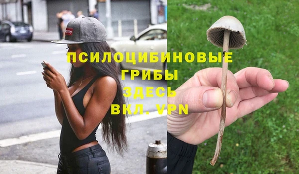 ПСИЛОЦИБИНОВЫЕ ГРИБЫ Алексин