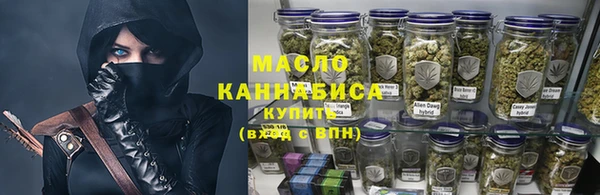 индика Алзамай